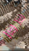 Karwachauth Special Jhumar Kada With Bangles Set Wholesale Shop In Surat
